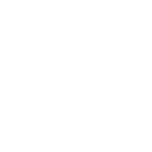 Rua Model Management